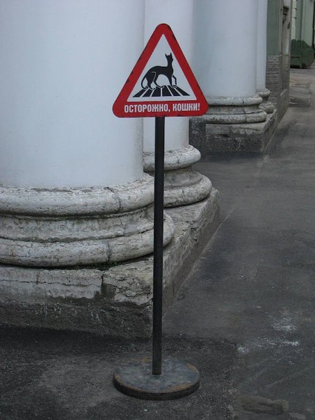 Культурная столица, б***!