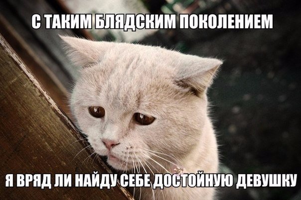 Картинки и демотиваторы