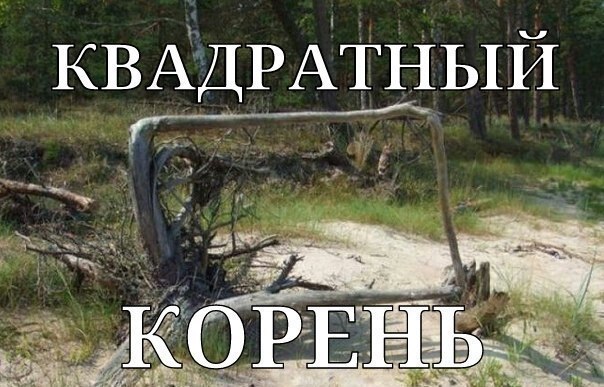 Картинки разные