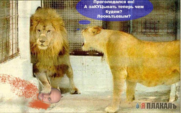 Фотожаба: Гоша Куценко