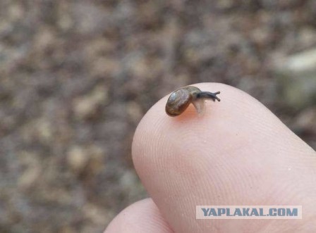 Подборка фотографий со всего света
