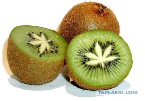 Подборка картинок