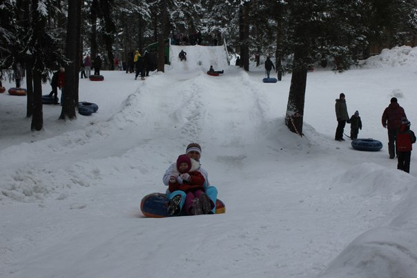 Я узнал, что у меня есть огромная семья