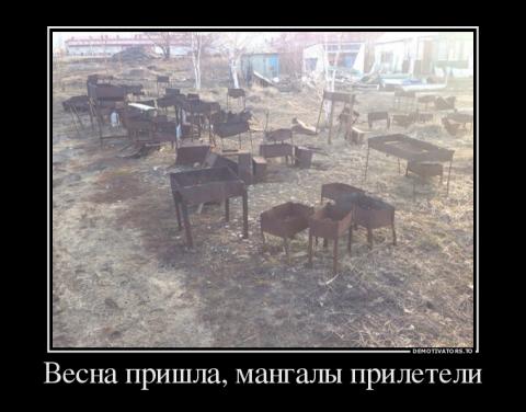 Подборка интересных и веселых фото