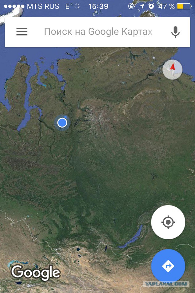 Тайги обожания пост