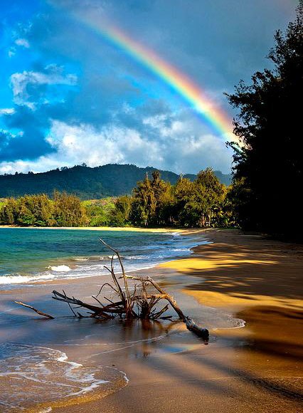 Интересные и веселые картинки