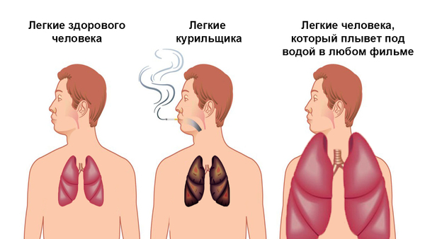Разные картинки из сети