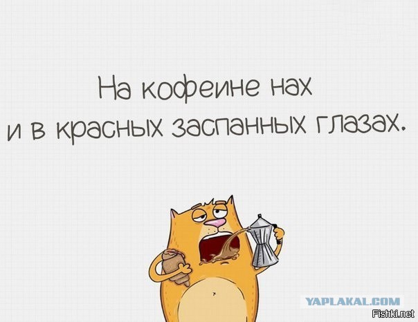 И так каждое утро...