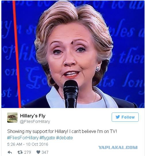 У мухи, севшей на бровь Клинтон, появился аккаунт в Twitter