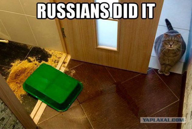 Русским мало того, что они повлияли на выборы в США