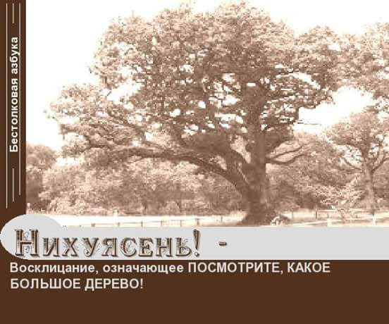 Подборка интересных и веселых картинок