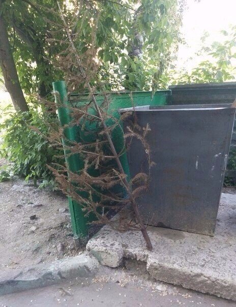 Подборка безудержного веселья