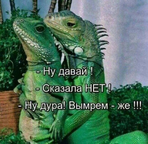 Прикольные картинки на 26.06.217