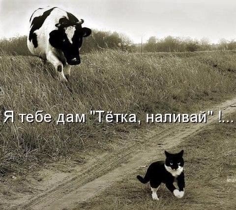 Прикольные картинки 28.06.2017.