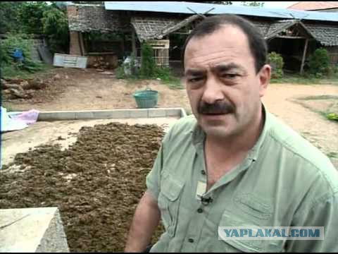 В поисках приключений