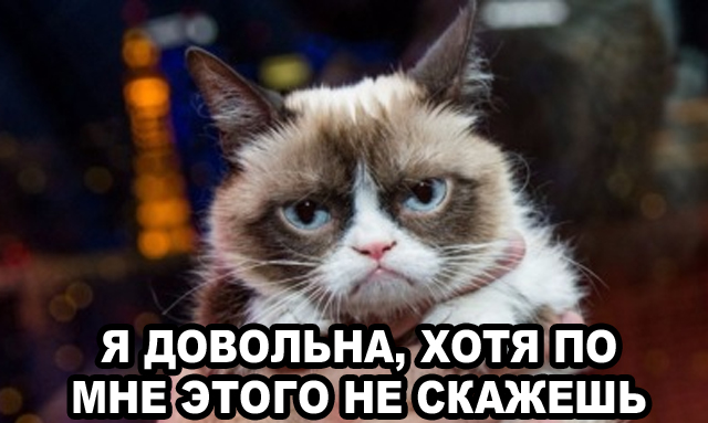 Хозяйка кошки Grumpy Cat отсудила более 700 тысяч долларов за нарушение авторских прав