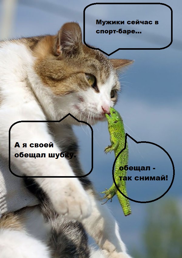 Нестандартный юмор