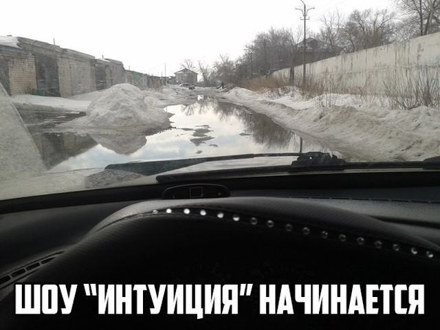 Нестандартный юмор