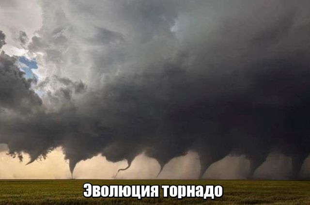 Подборка интересных и веселых картинок
