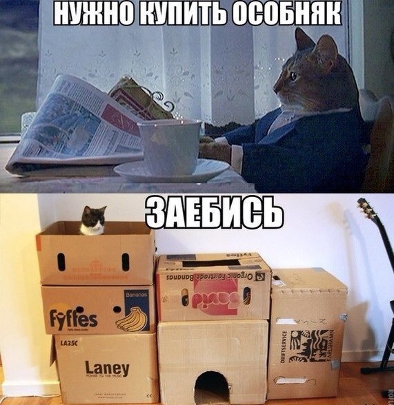 Работа не волк, но картинки сами себя не посмотрят!