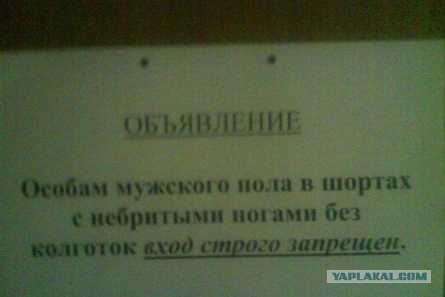 «В шортах — нельзя». Для посетителей астраханского ГИБДД ввели дресс-код