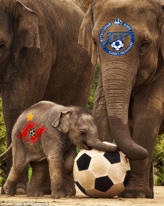 Слоненок - футболенок