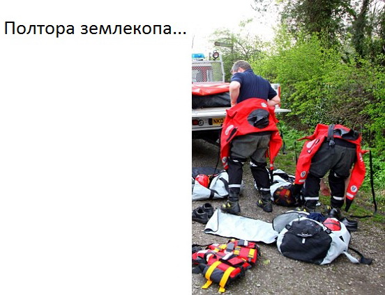 Сколько пожарных нужно, чтобы спасти одну кошку?