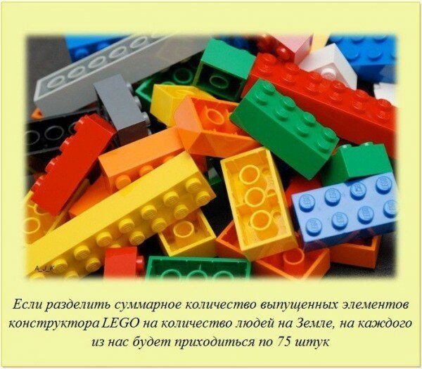 Любопытные факты обо всем на свете