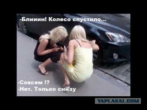 "Зимний" развал-схождение