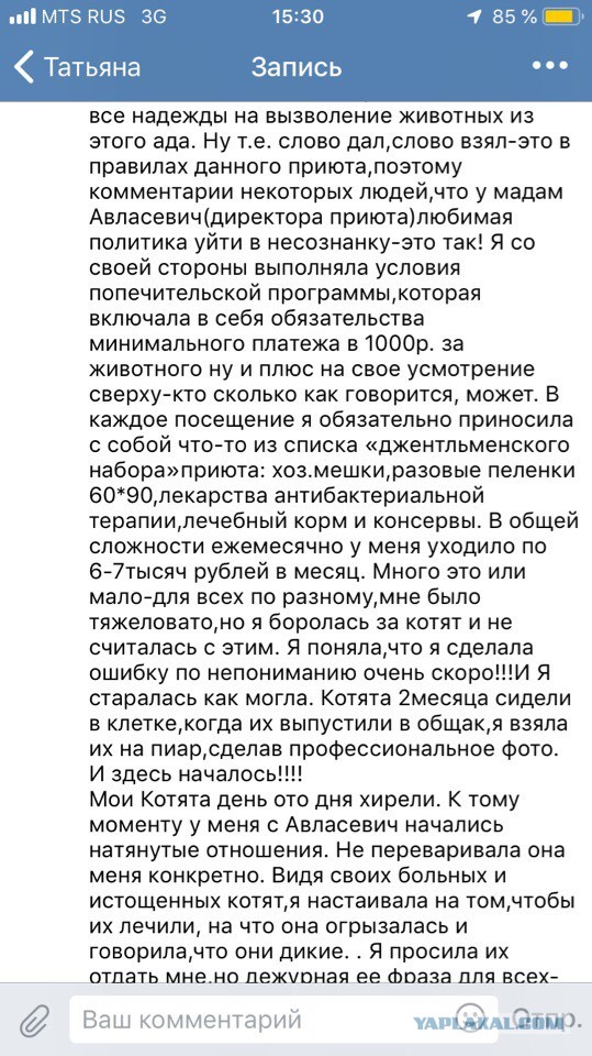 Помогите вернуть кота! Приют "Преданное сердце" украл кота и не отдает!