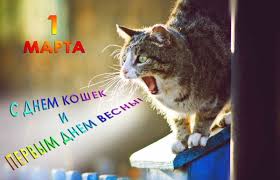 Кто последний?