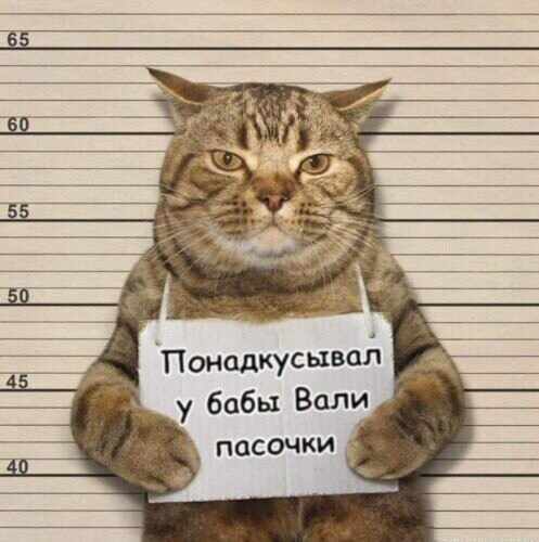 Минтай, форель и осетрина