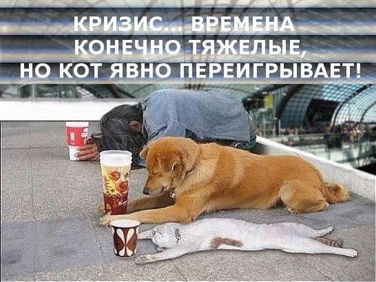 Женщины с низкой социальной ответственностью - меняются в браке или нет?