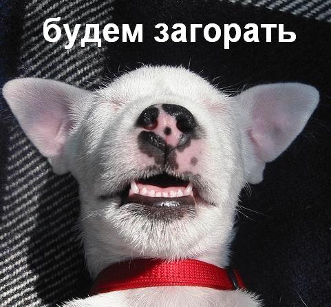 Фотожаба: Скоро лето 2008 !