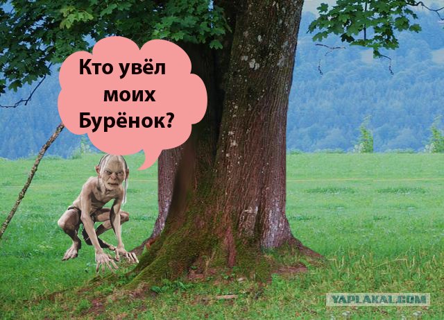 Как ты думаешь, измена скора отпустит?