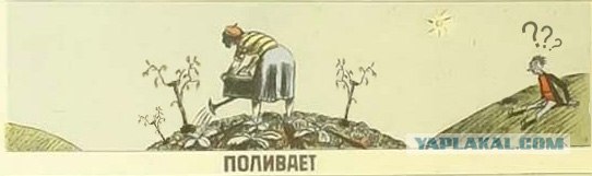 На огороде
