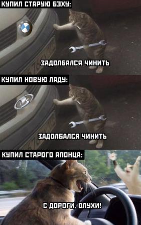 Картинки и мемы для настроения 022
