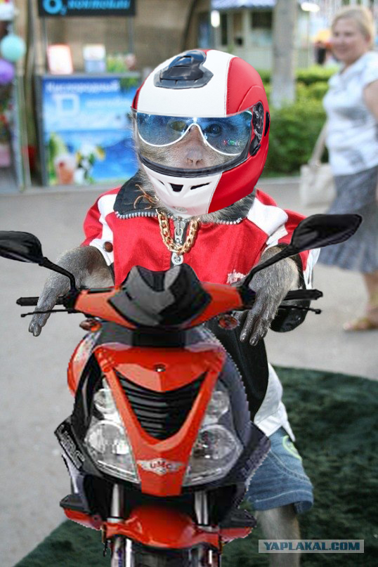 пацаны ваще ребята