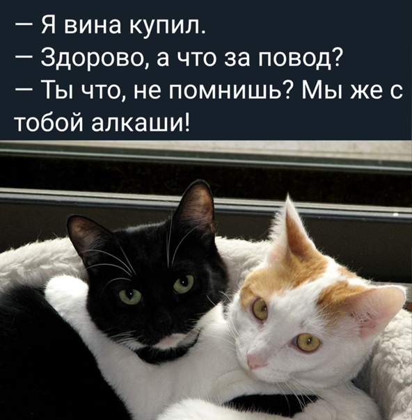Картинки с надписями и всякие жизненные фразы 7.01.2021