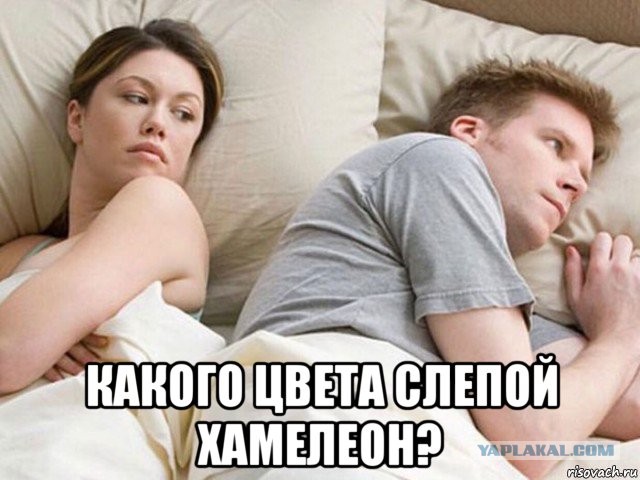 Операция "Деградация", часть вторая