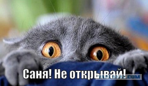Когда не выпустили погулять