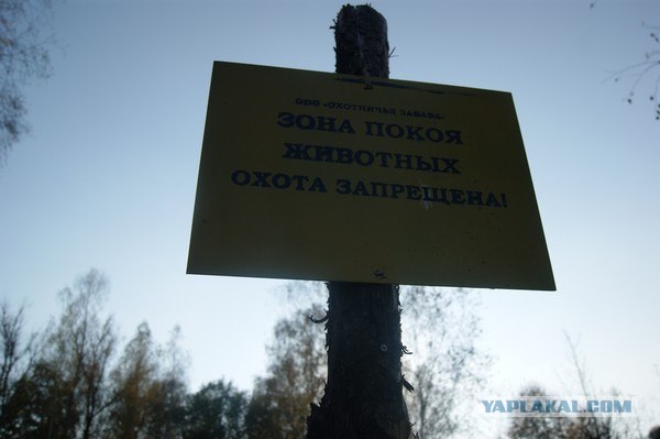 Осень в банках