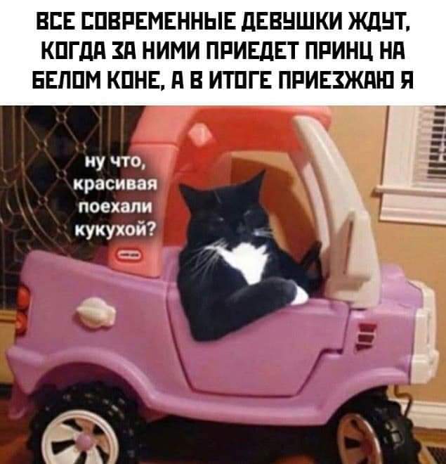 Всяческие картинки