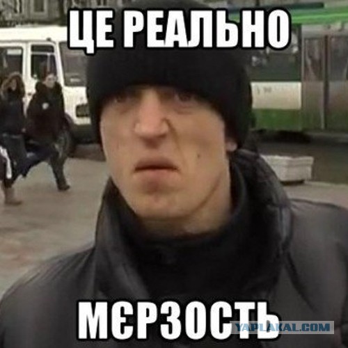 Щипчики (аштрисёт)