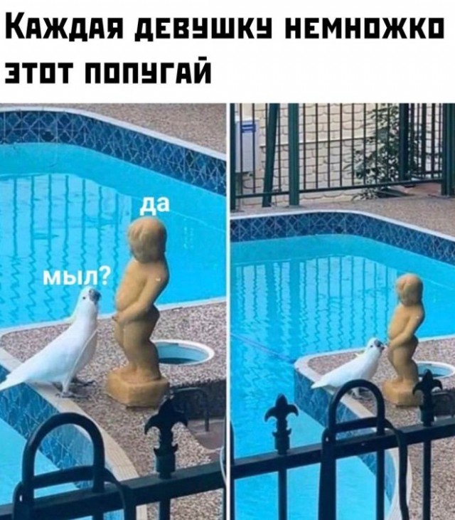 Картинки и мемы - "Жить, как говорится, хорошо..."