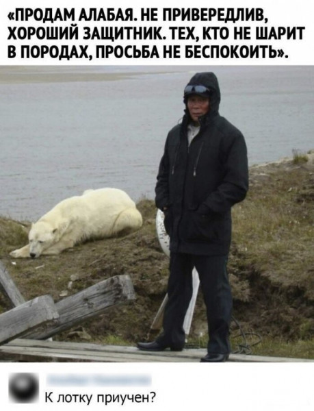 Юмор в картинках и без
