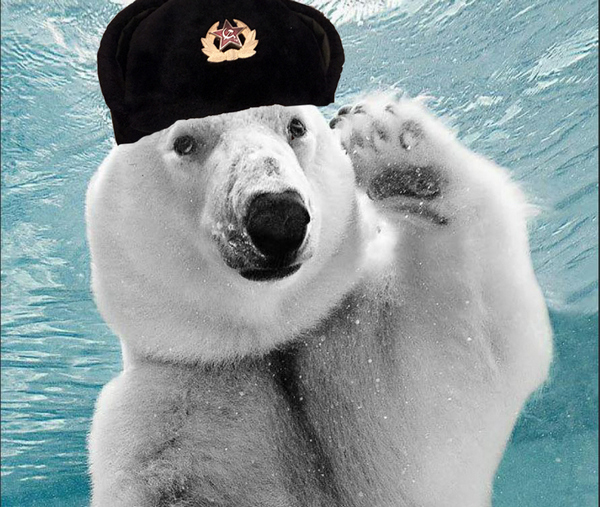 Пандемия съехавших крыш - разновидности болезни. Россия и мир. Часть 38