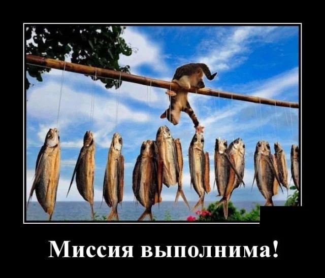 Картинки с надписями 23.07.22