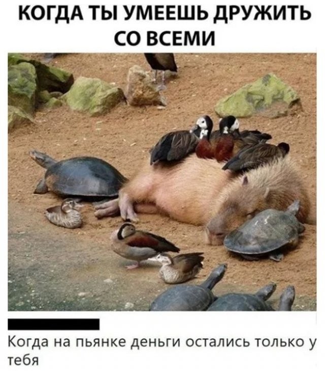 Скриншоты и комментарии из социальных сетей 1.10.22