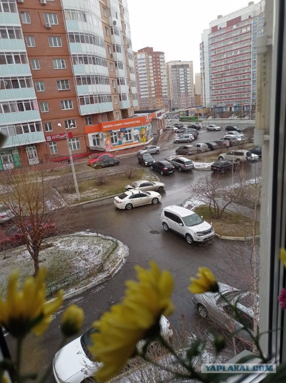 За окном